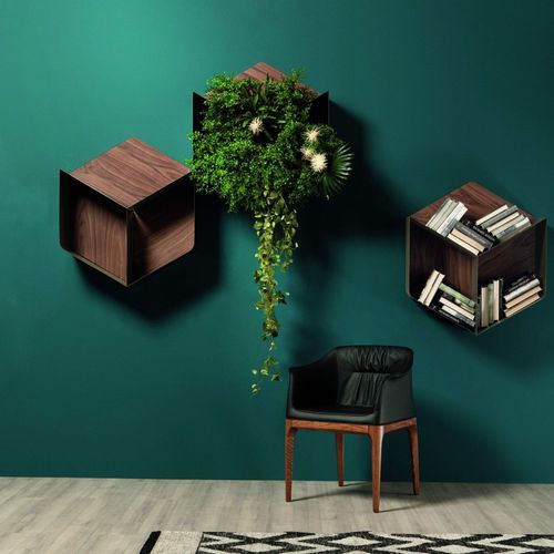 Libreria Pangea Shelf