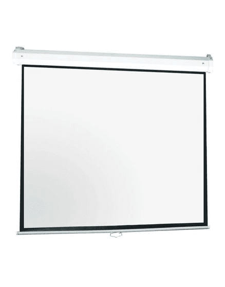 Projection Screen Pull
