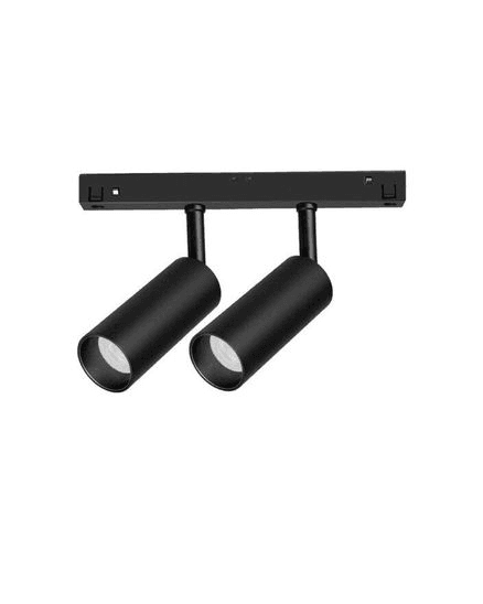 Move it - IT45 Twin Spot Track Light