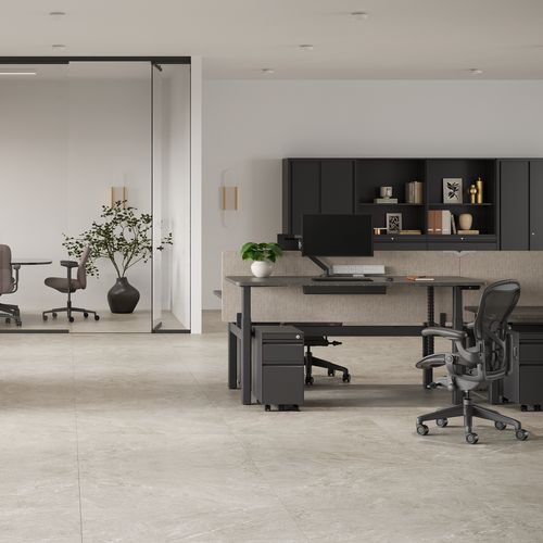 Nevi Sit-to-Stand