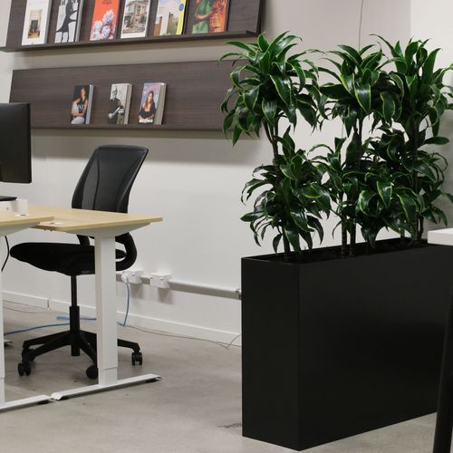Screening Solutions | Hire Plants