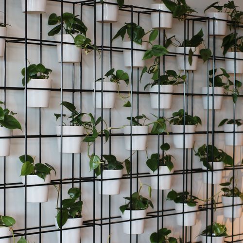 Plant Grid Frames