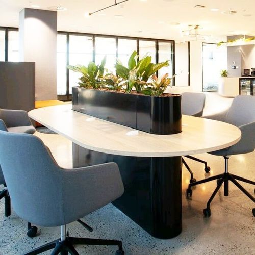 Telopea Meeting Chair 2