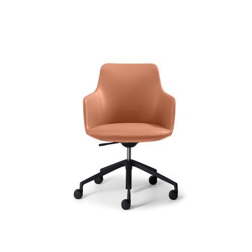 Telopea Meeting Chair 2