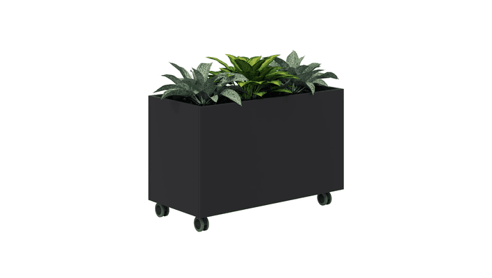 Rapid Planter