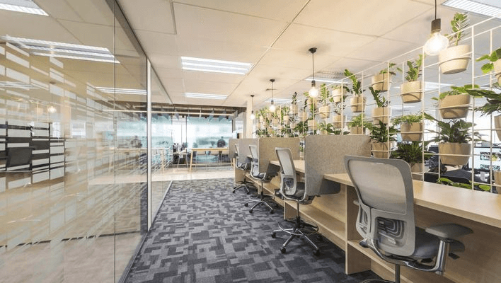 Cove Desk Dividers