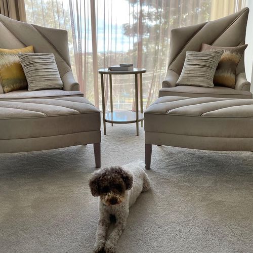 Mid Century Modern Feature Chairs