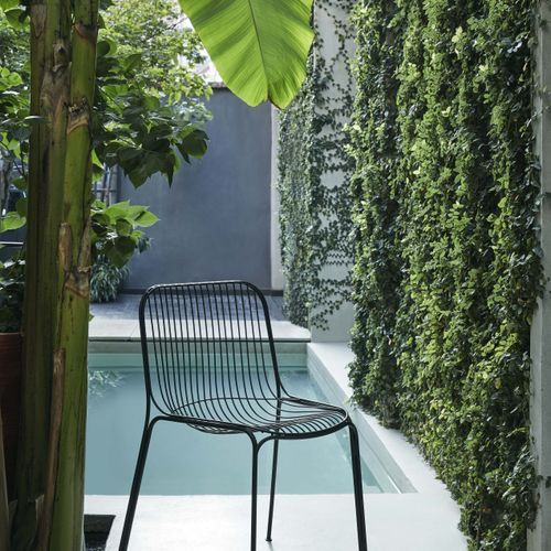 HiRay Chair