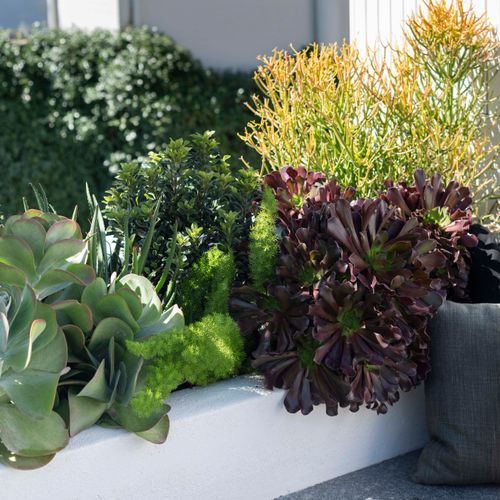 Outdoor Scatter Cushion