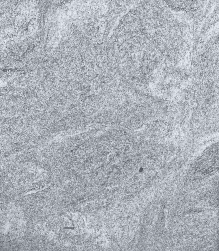 Aspen Granite | Paving