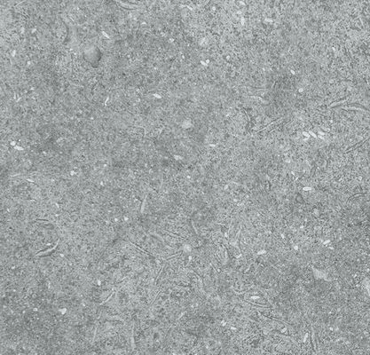 Seagrass Limestone | Paving