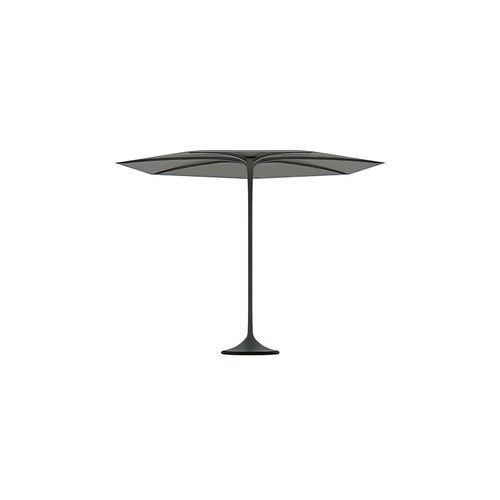 Palma Umbrella