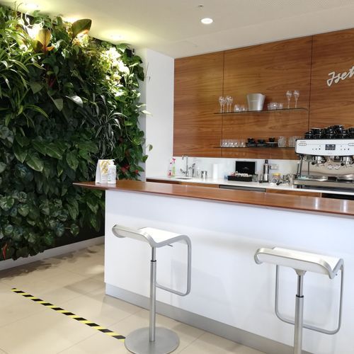 Vertical Green Walls | Hire Plants