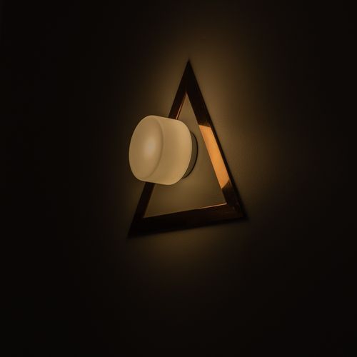 Nocturnal Corella Wall Light