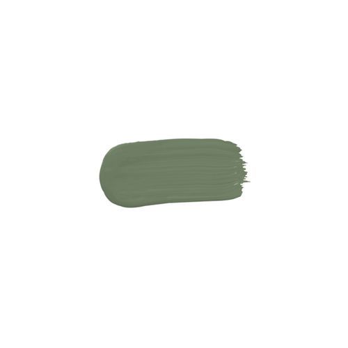 Eggshell Acrylic Paint in Bayleaf