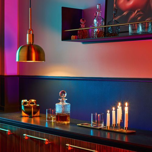Forked Shade Pendant Light