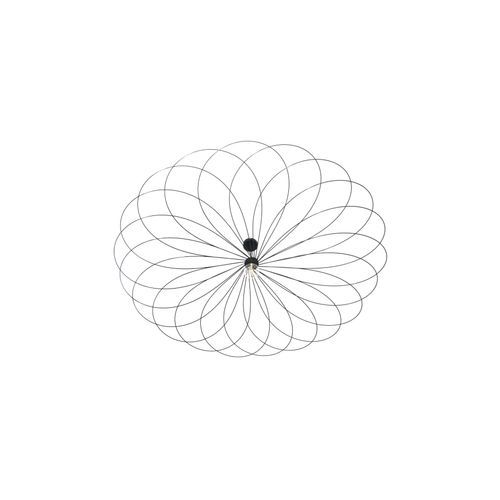 Calendula