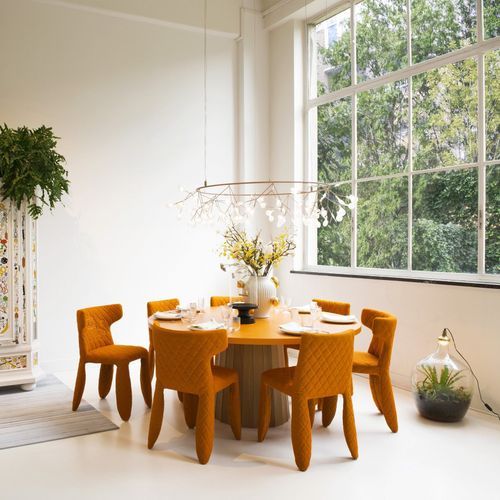 Heracleum Small Big O