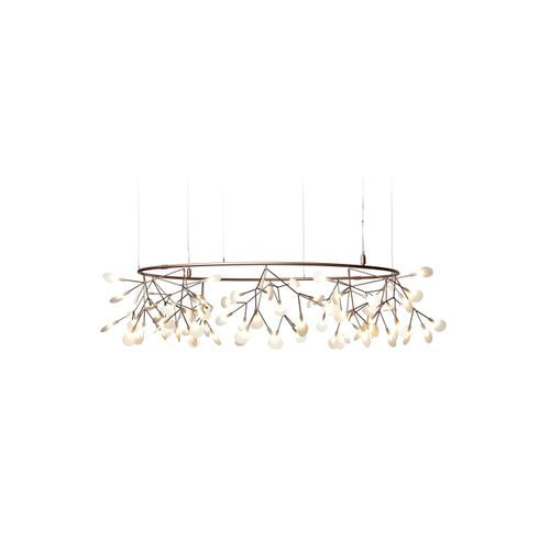 Heracleum Small Big O