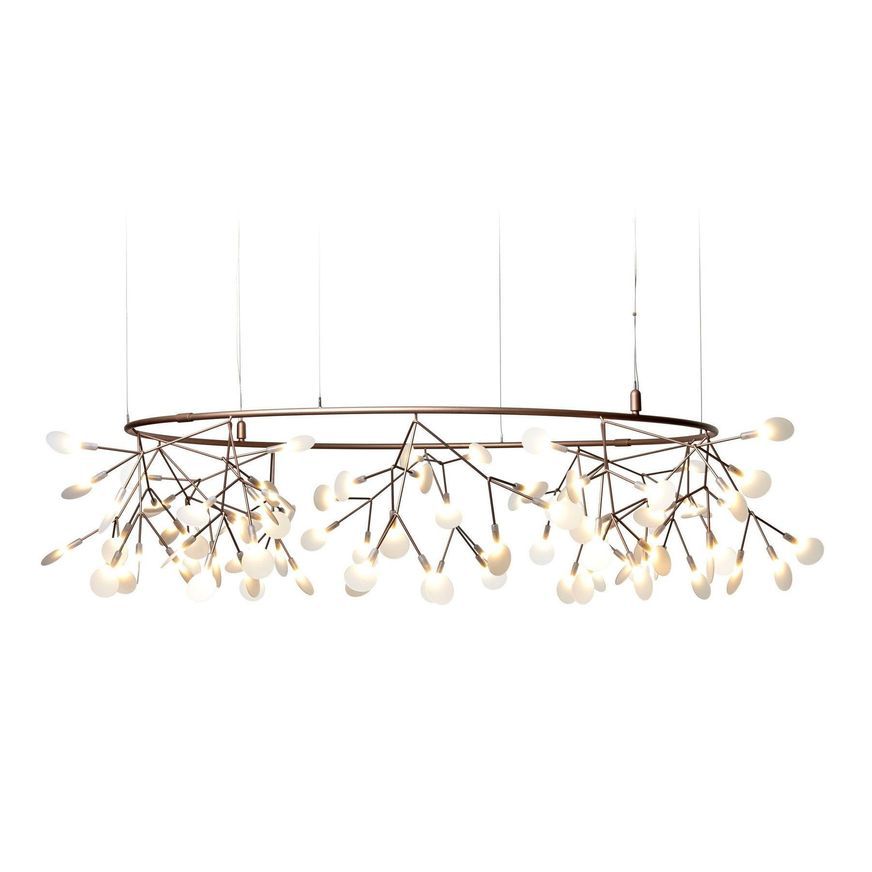 Heracleum Small Big O