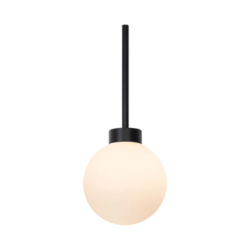 Nocturnal Stella Pendant 150 Light