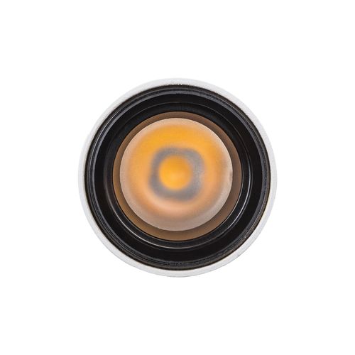 Nocturnal Taipan Pendant Light