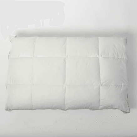 Standard Latex Down | Pillow