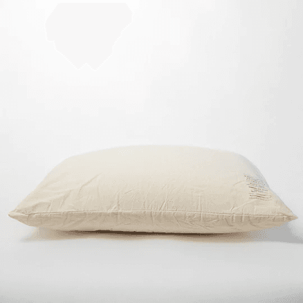 Standard Latex | Pillow
