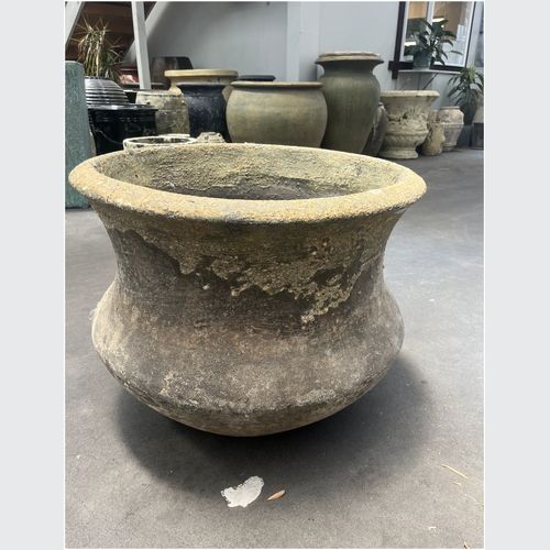 Atlantis  - Lotus Pond Planter