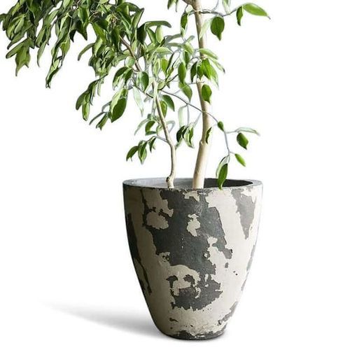 Nara Planter