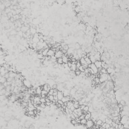 Matera Stone Slab | Transcendent Range