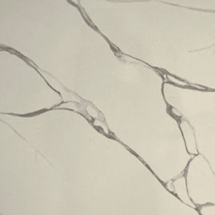 Fano Stone Slab | Transcendent Range