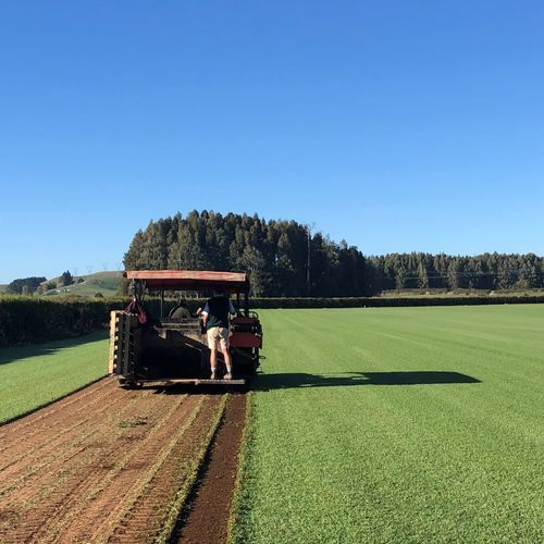 Rolawn Seasonal Kikuyu Blend Lawn