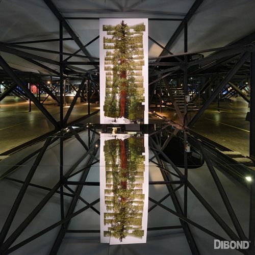 Dibond Commerical Displays 