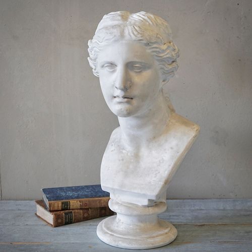 French Plaster Bust of Venus de Milo