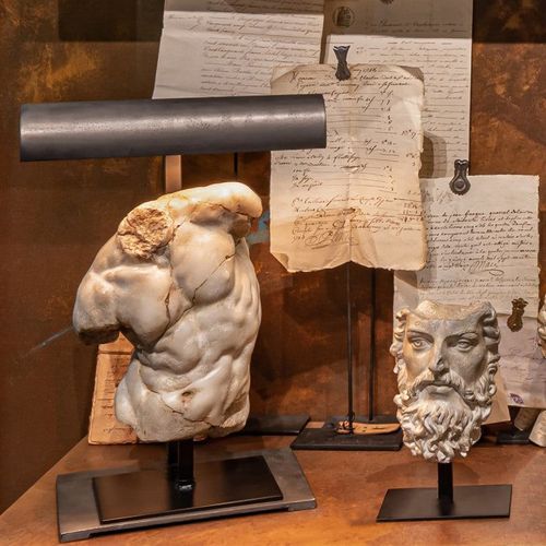 Apollo Torso