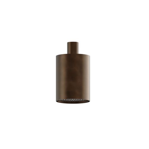Buddy 100mm Ceiling Mount Showerhead