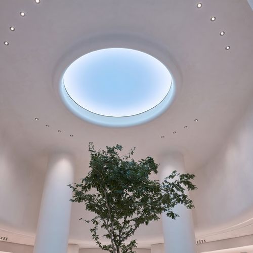 Oculus
