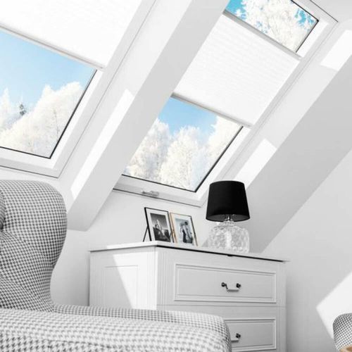 FPS Roof Window Range