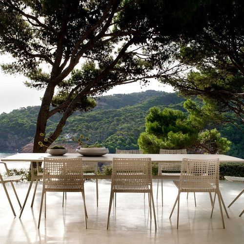 Branch | Armchair