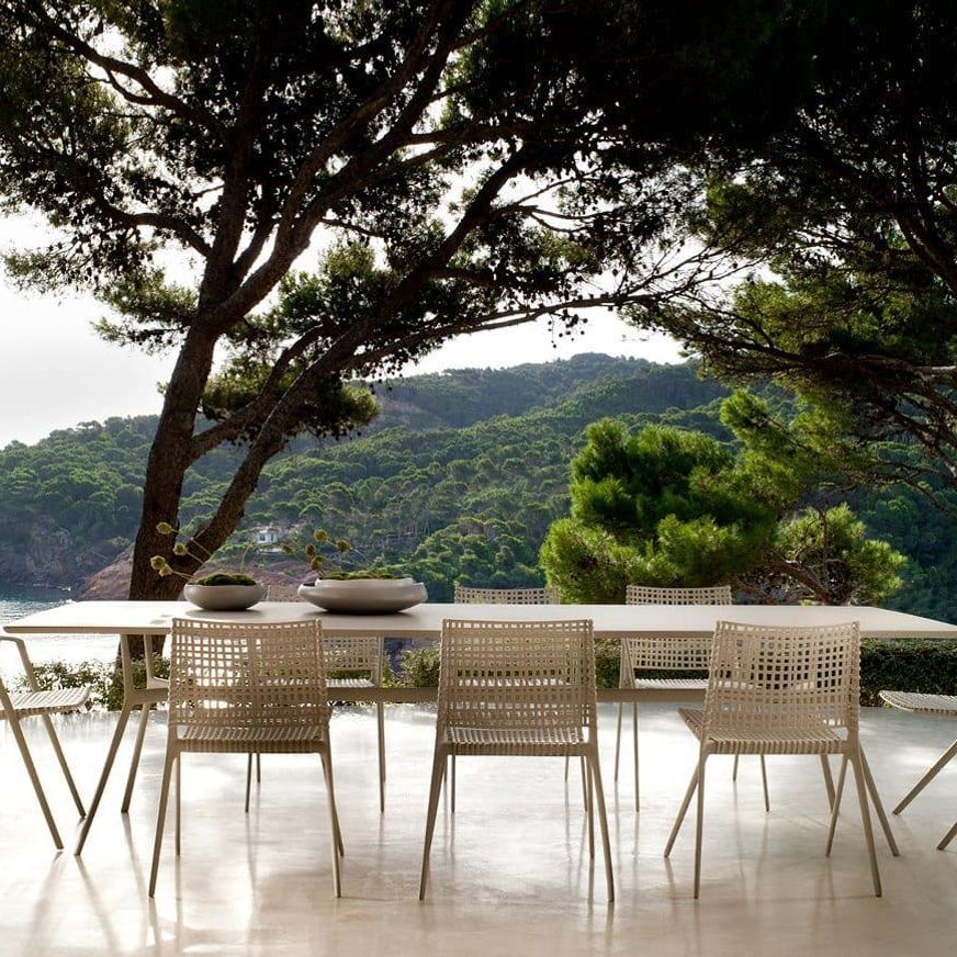 Branch | Armchair