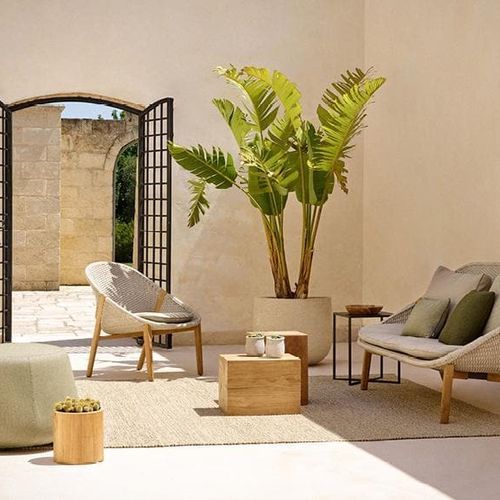 Elio | Sofa