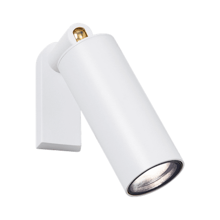Nocturnal Firefly Spotlight