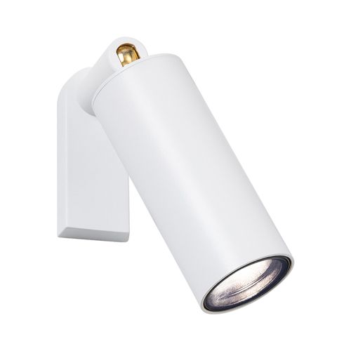 Nocturnal Firefly Spotlight