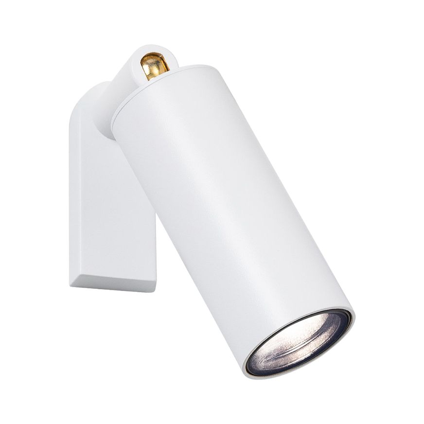 Nocturnal Firefly Spotlight