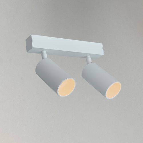 Gemini Profile Spot Spotlight