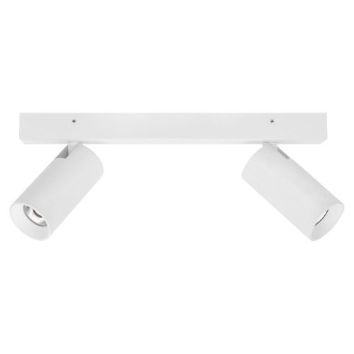 Twin LED Tubular Spot Light