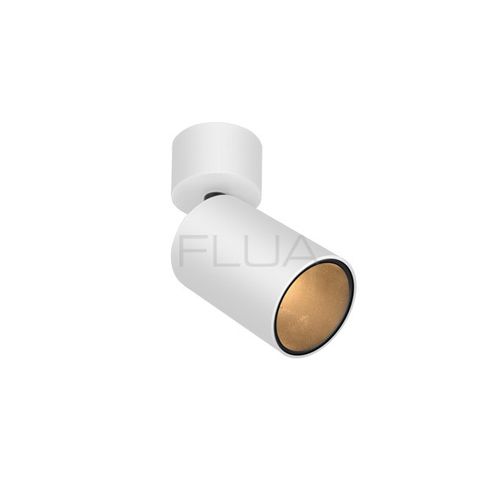 FAVOR ONM ER V24.1 | Ceiling Spot Light