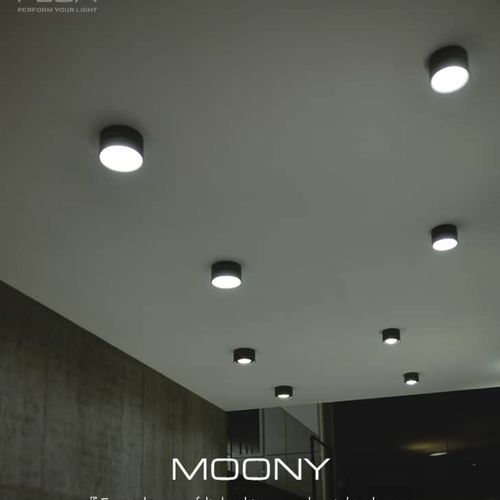 Moony | Spotlight