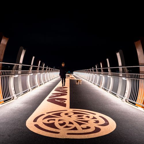 Richie Rail 26 Handrail LED Strip